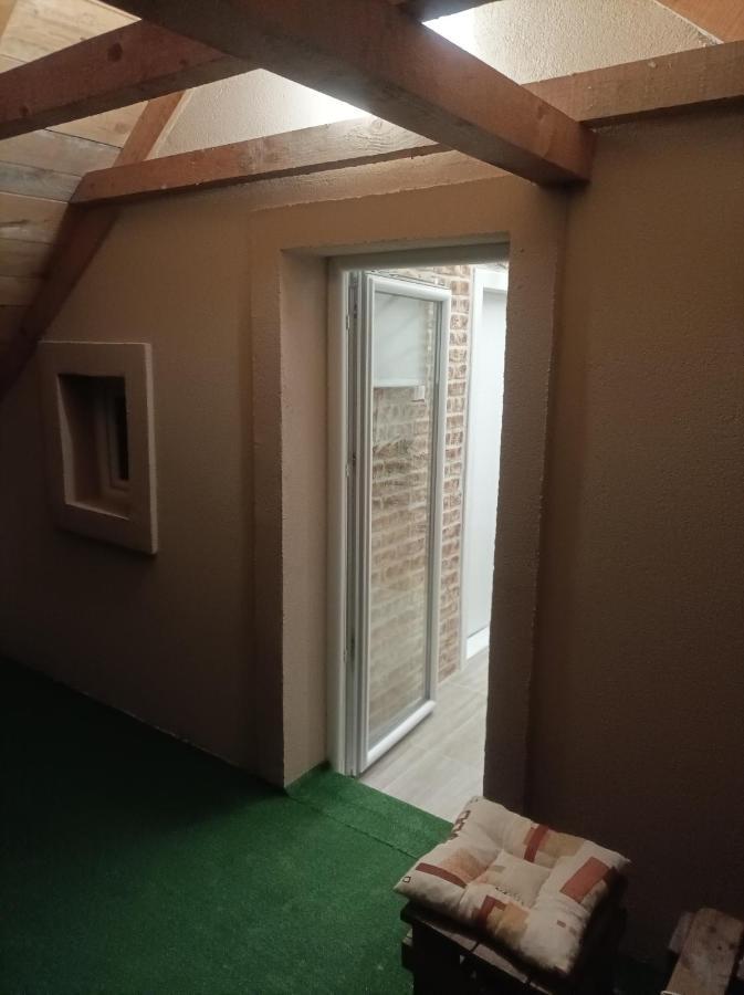 Apartmani Marija Zemun Zemun Polje Buitenkant foto