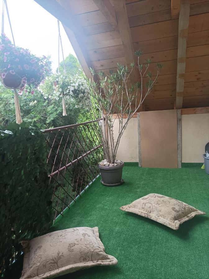 Apartmani Marija Zemun Zemun Polje Buitenkant foto